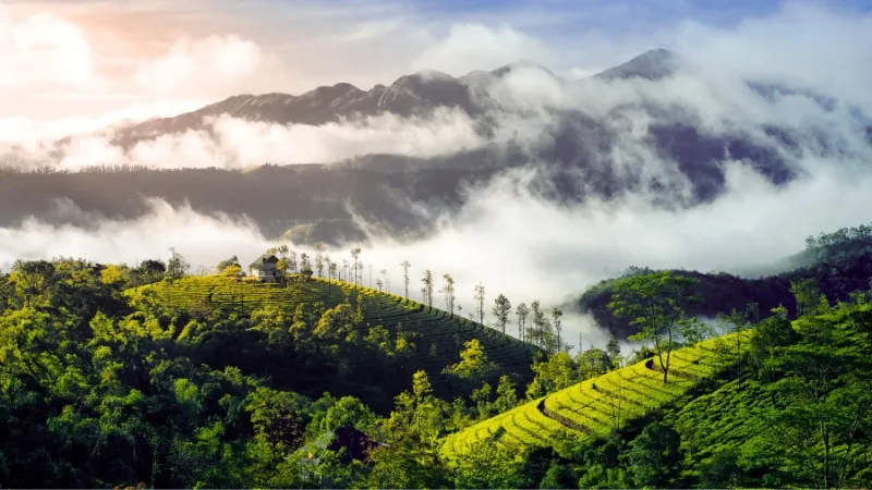 Kerala Travel Agency Tour from Hyderabad